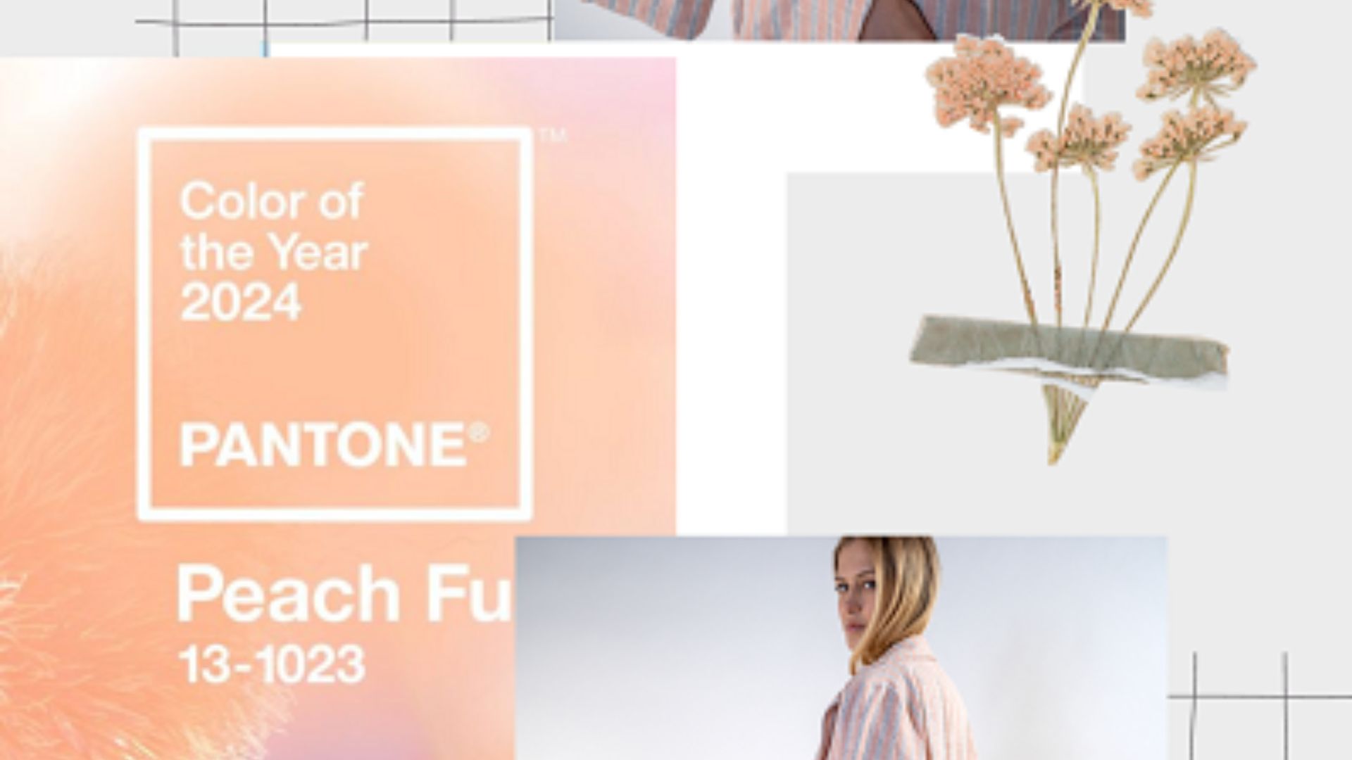 Pantone barva leta 2024,